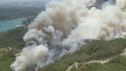3 горски пожара бушуват в Анталия, евакуираха няколко населени места (видео)