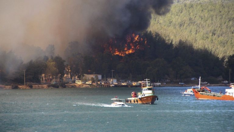 Големи горски пожари бушуват в осем окръга в Южна Турция,