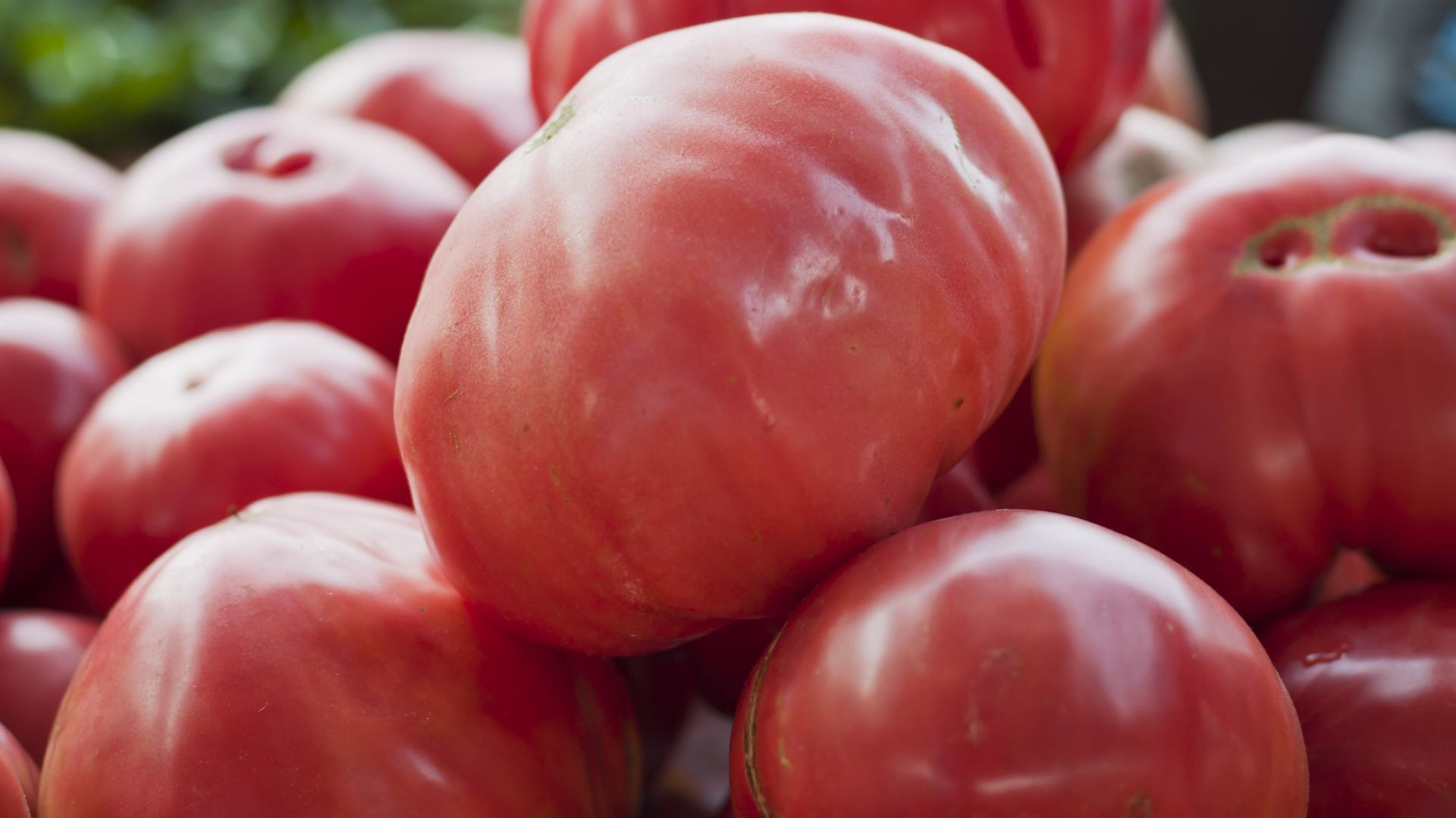 Учени правят безвредна пластмаса от доматени люспи