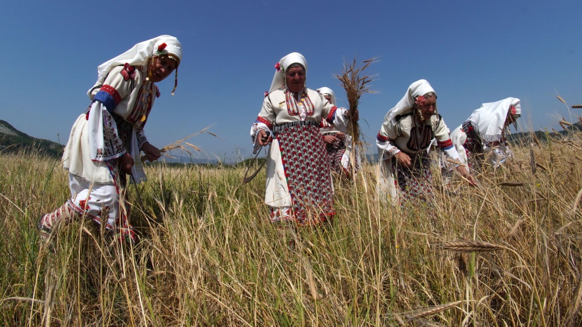 Юбилеен фестивал на лимеца - древното жито на траките (снимки)