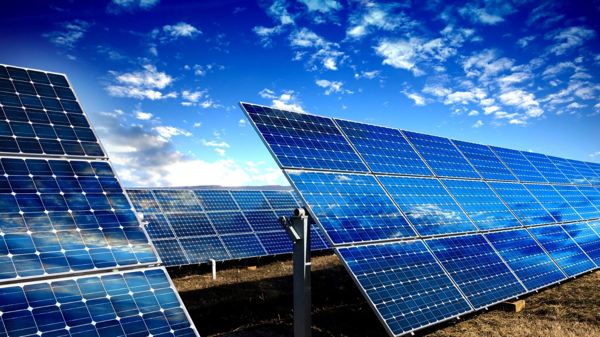Фондът 3SIIF, в който полската банка има значителен дял, придоби през май значителен дял в австрийското дружество Enery Development GmbH (Enery), което има проекти за слънчева енергия в България