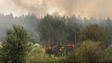 Гори гората край пернишкото село Големо Бучино съобщиха от ОД