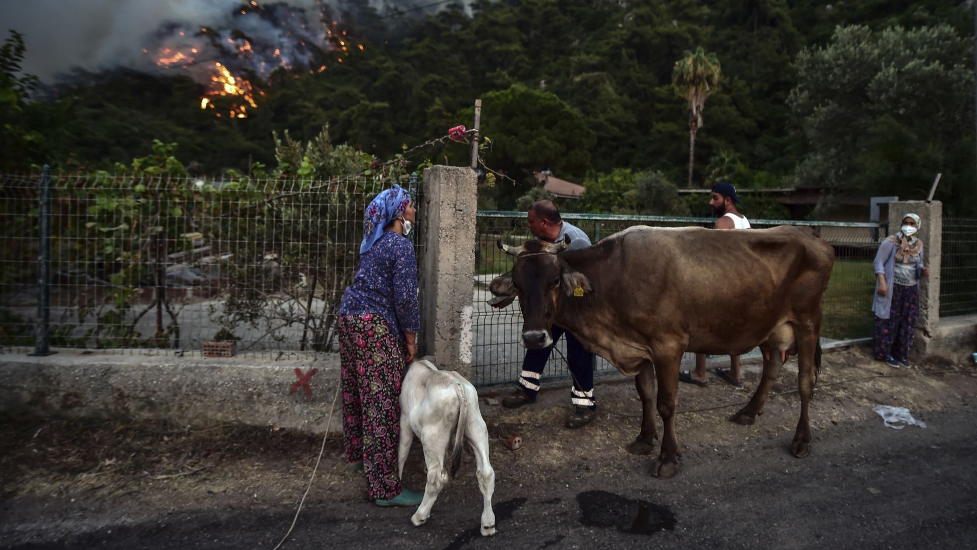  Борбата с огъня продължава в пет турски окръга - Айдън, Ъспарта, Денизли, Анталия и Мугла 