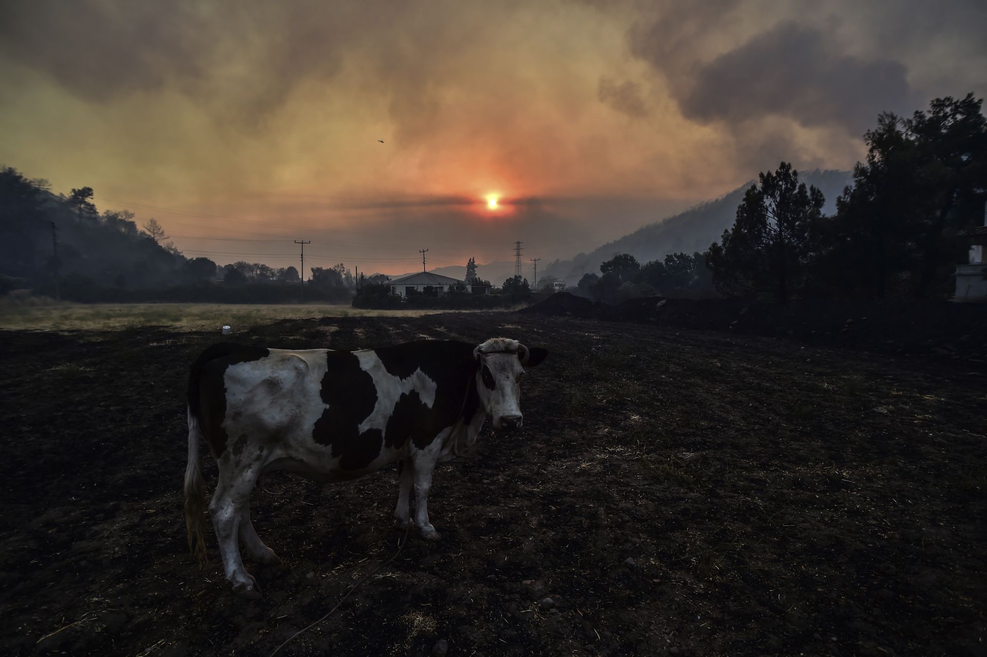 Големи горски пожари продължават да бушуват на 10 локации в Турция