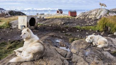Повишени са оценките за опасният праг за начало на топене на леда в Гренландия
