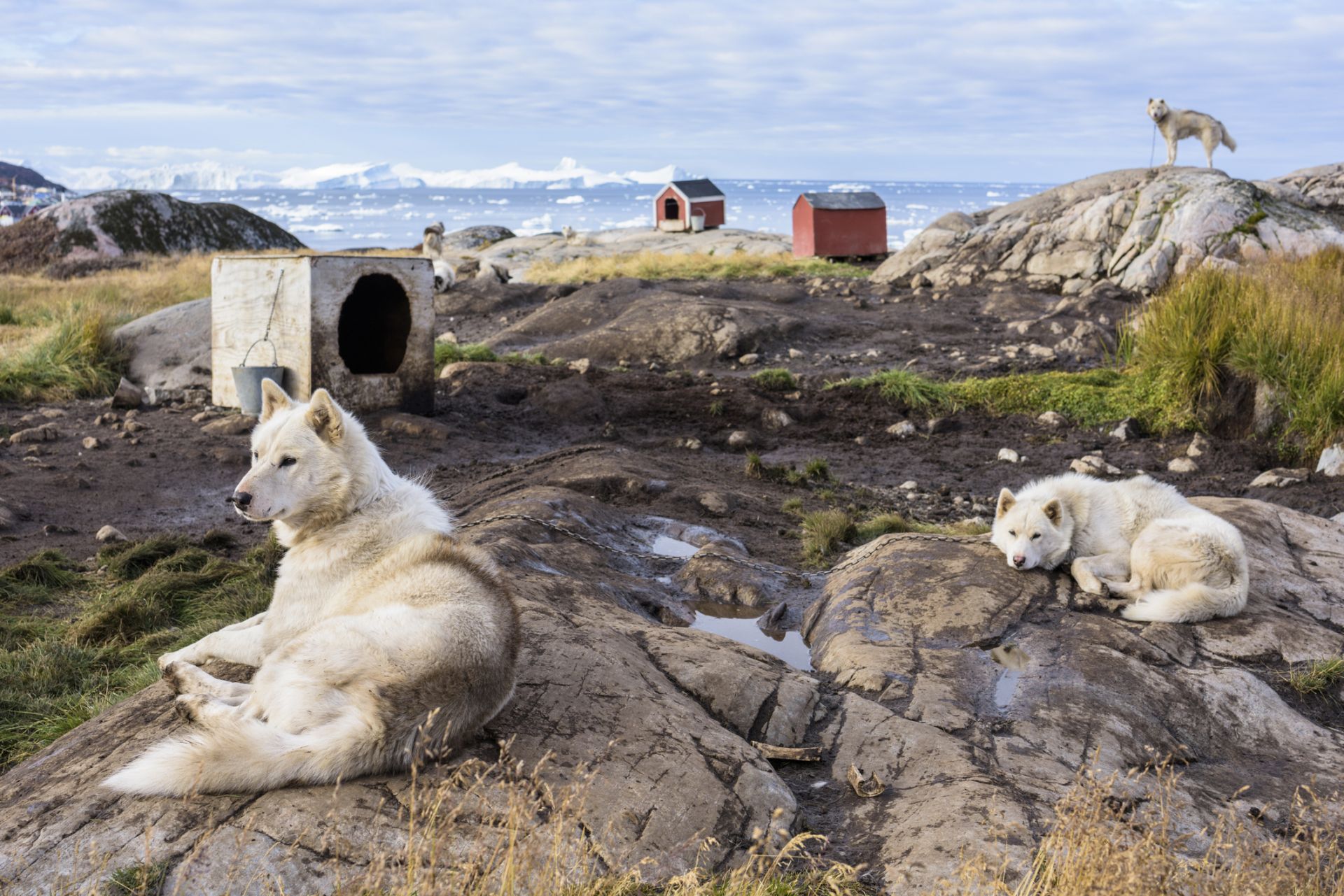 Повишени са оценките за опасният праг за начало на топене на леда в Гренландия
