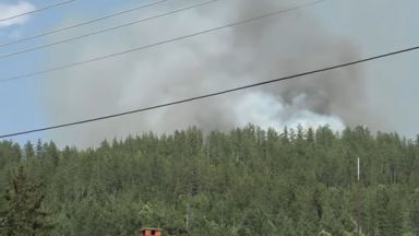Втори ден горят борови гори и сухи треви над Босилеград