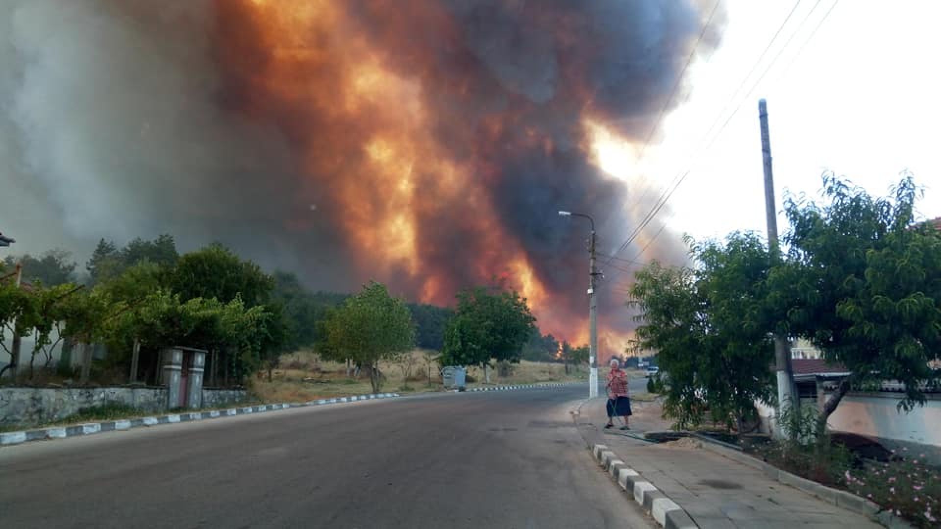 Лесничеи загинаха в огнен капан край Сандански, пожар заплашва да изпелели и Старосел