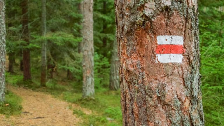 Туристическа пътека в Родопите ще носи името на Боян Петров