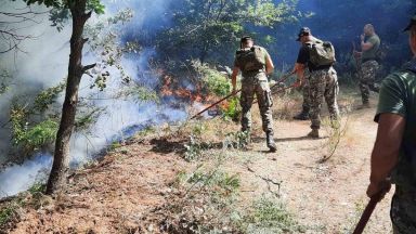 От партията Има такъв народ ще дарят половината от субсидията