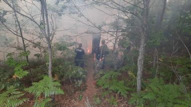 Във връзка с множеството горски и полски пожари обхванали различни