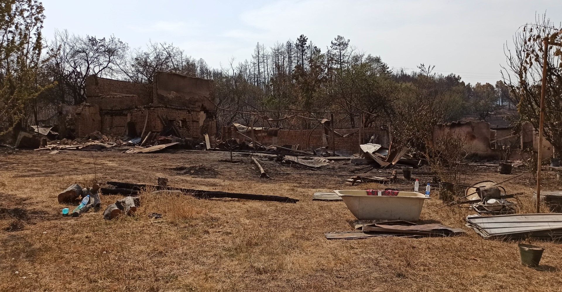 Почти половината землище на село Старосел е изгоряло при пожара