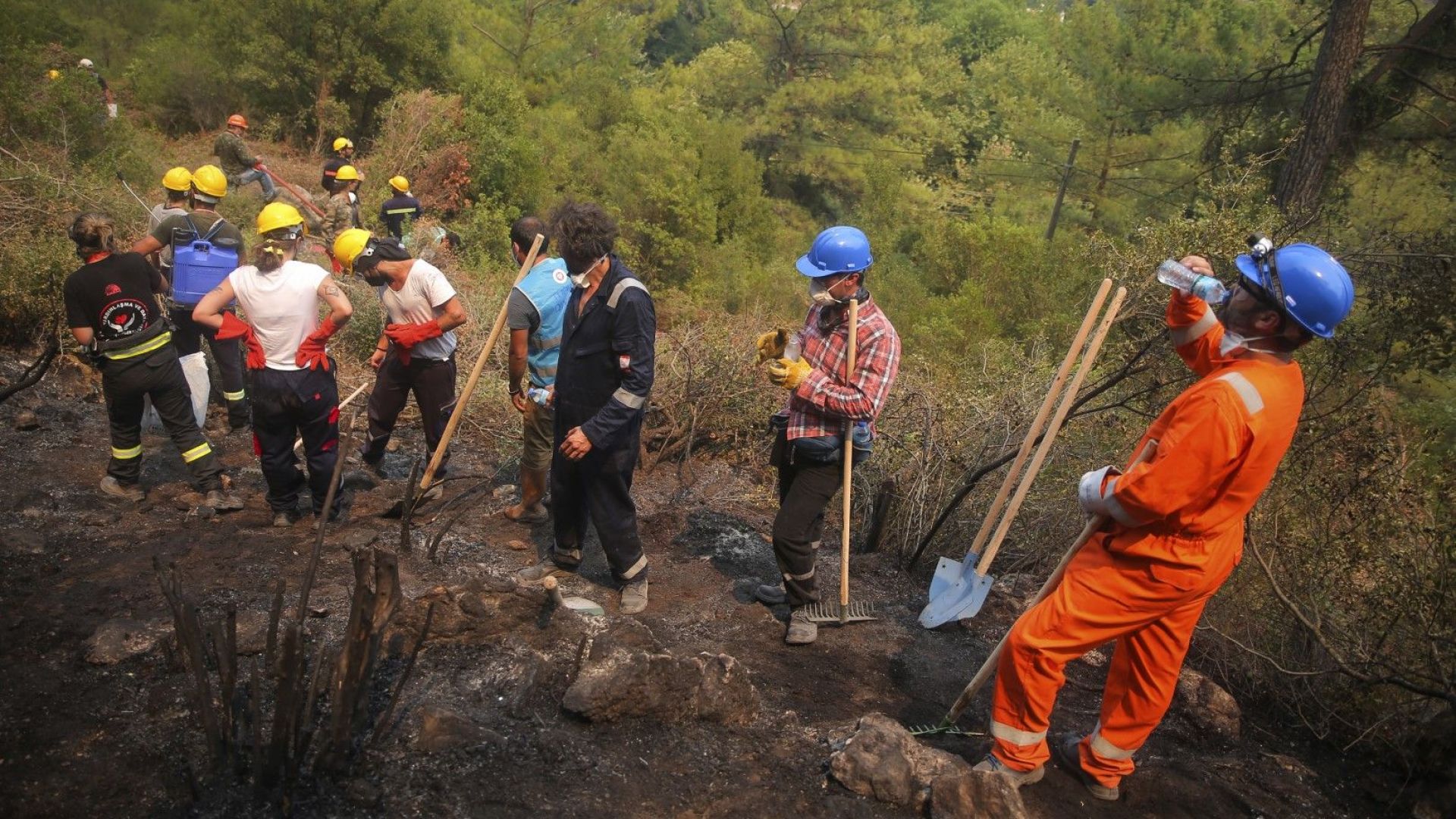 Продават терени в изгорели в Турция райони с обещание, че там ще се строи
