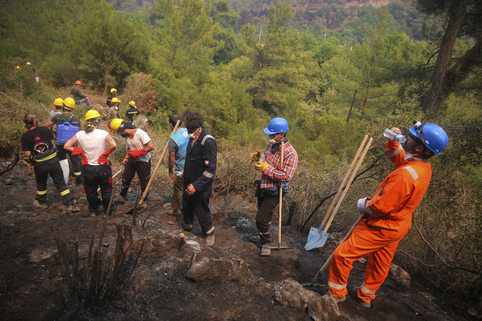 Доброволци участват в гасенето и преодоляване на последиците от горскитв пожари в Турция