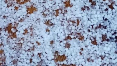 Районът на курорта Пампорово и пътя към Смолян побеляха от