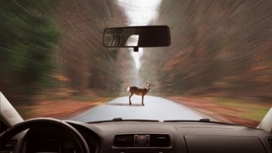 Мъж на 28 години с адрес в село Сини вир