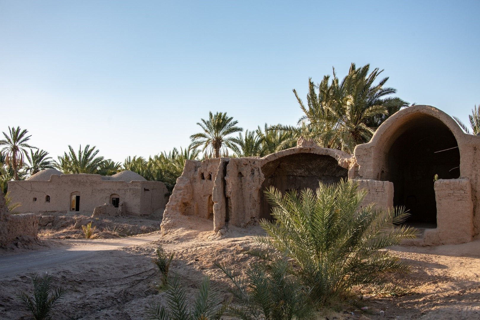Оазис в пустинята Лут