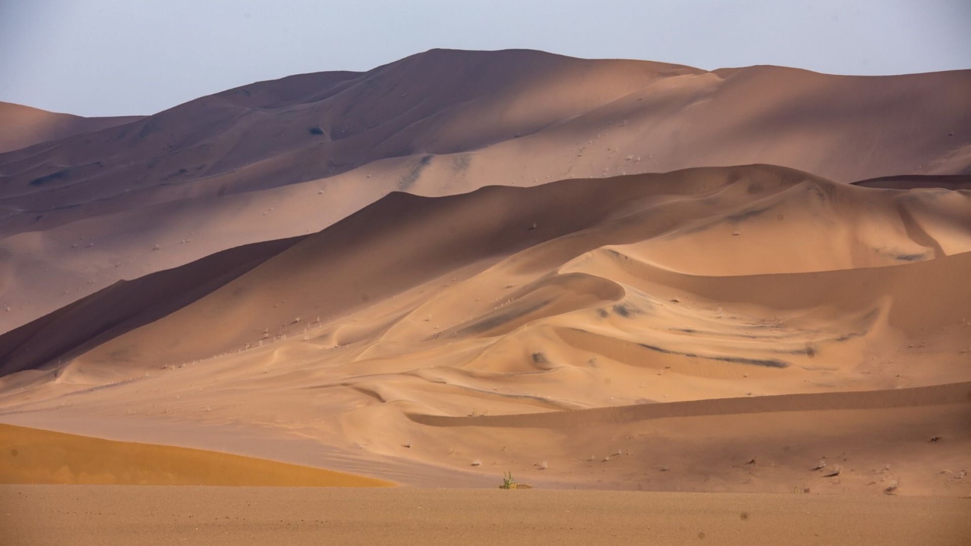Мислите, че тук ви е топло? Вижте една от най-горещите пустини в света! (снимки)