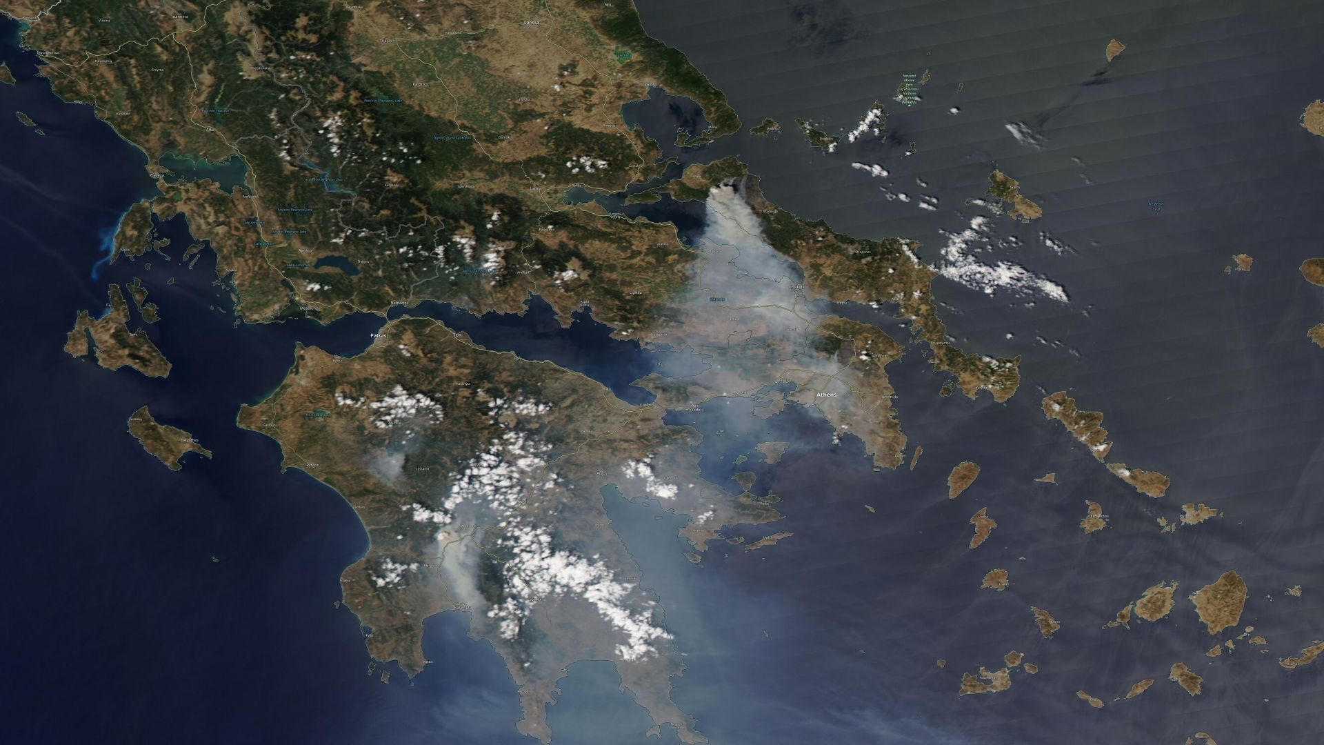 Пожарите в Гърция изпепелиха дърво, посадено преди Христа