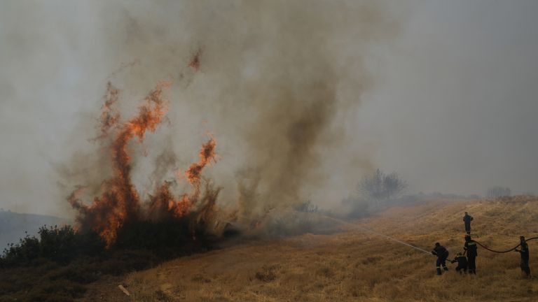 A Bulgarian woman took part in the arson of Rhodes