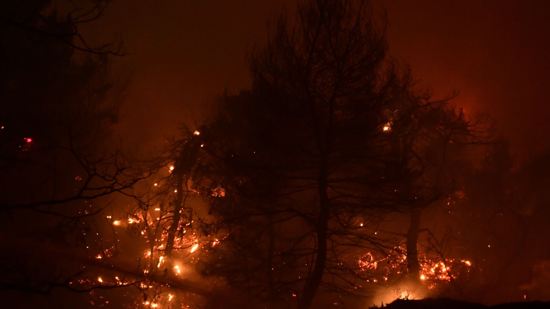 2021 г. остави Гърция с толкова опожарени горски масиви, колкото за последните 13 г.