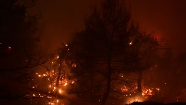 През 2021 г в Гърция са били опожарени толкова горски