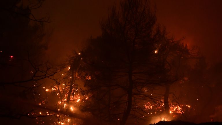 През 2021 г. в Гърция са били опожарени толкова горски