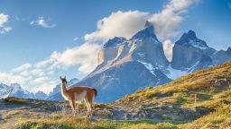 Климатичните промени са утроили риска от пожари в Чили и Аржентина