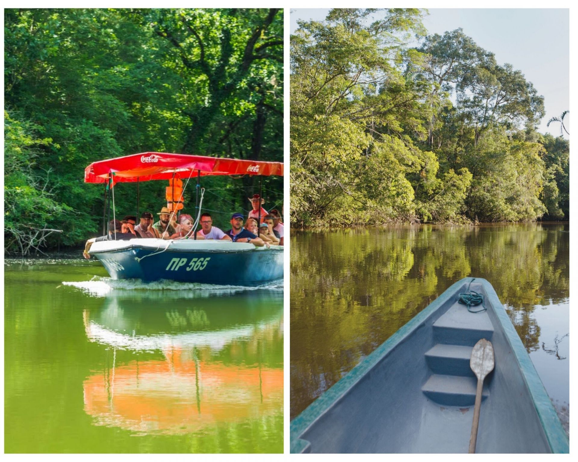 Вляво: С лодка по река Ропотамо. Вдясно: С лодка по река Амазонка