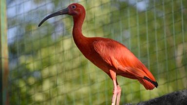 От днес 4 април Зоологическа градина София преминава към