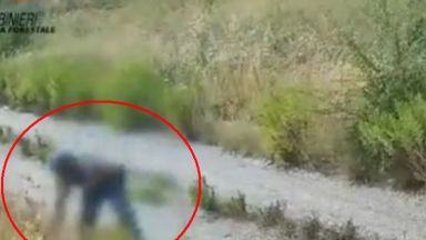 Не всички пожари се дължат на горещото време На много