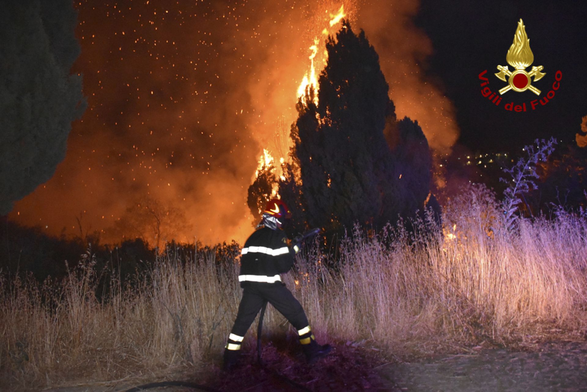 Пожар край Петралия Сопрана, в горната част на Мадоние, близо до Палермо