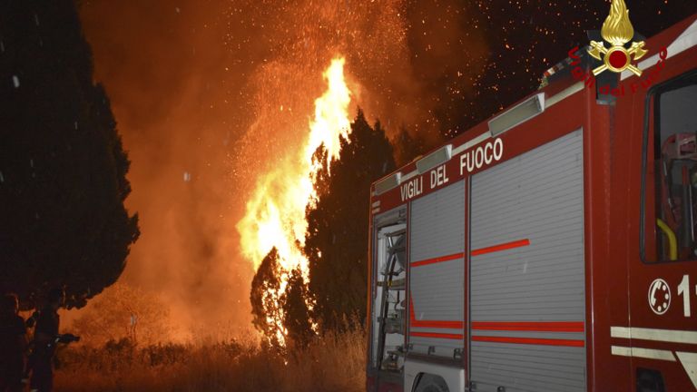 Горски пожари бушуваха днес в Южна Италия, изпепелявайки хиляди акра