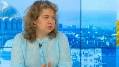 Тя каза още че според нея няма конституционен казус около