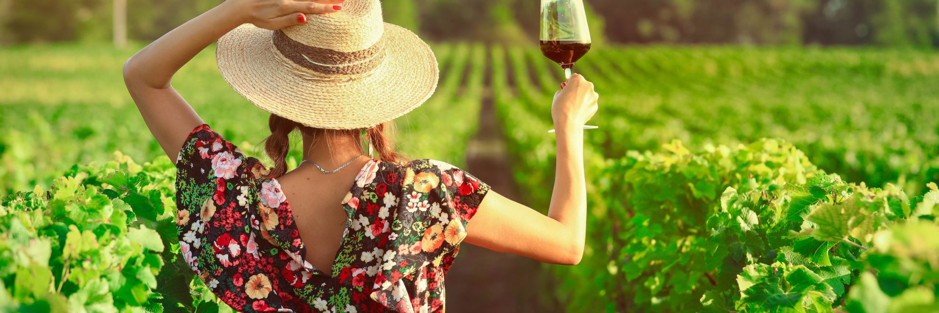 Промяната на климата влияе драматично на лозарството в Средиземноморието