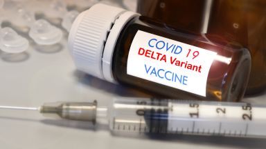 В Индия бе одобрена първата в света ДНК ваксина срещу коронавируса