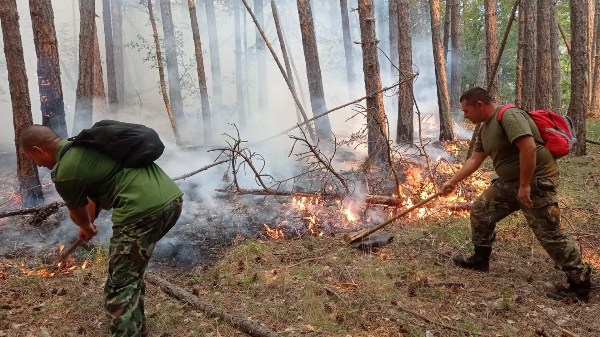 Продължава потушаването на пожара над Югово в Родопите, пламнали са нови огнища 