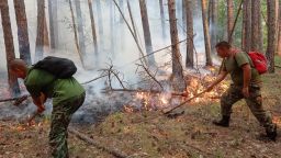 40 декара гора е обхваната от пламъци в Рила, 80 пожарникари се борят с огъня