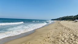 Морето изхвърли 25 обезглавени бебета делфини на Кара дере 