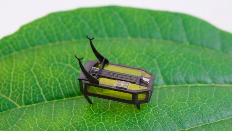 Робот-бръмбар постави световен рекорд