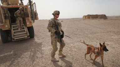 Зоозащитници обвиниха Пентагона: Зарязаха армейски кучета на летището в Кабул без храна и вода (снимки)