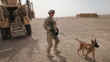 Зоозащитници обвиниха Пентагона в ужасна жестокост заради зарязаните при евакуацията