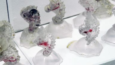 Археологическият музей в Бургас откри изложба посветена на резултатите от