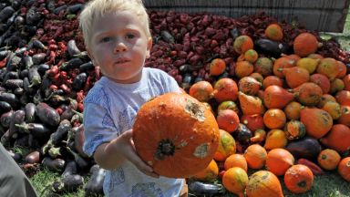 Държавен фонд Земеделие ДФЗ преведе близо 2 млн лв по