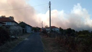 Пожарът в боровата гора между селата Старово и Самодива в