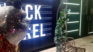 Шест проверки са извършили служителите на МВР и РЗИ в