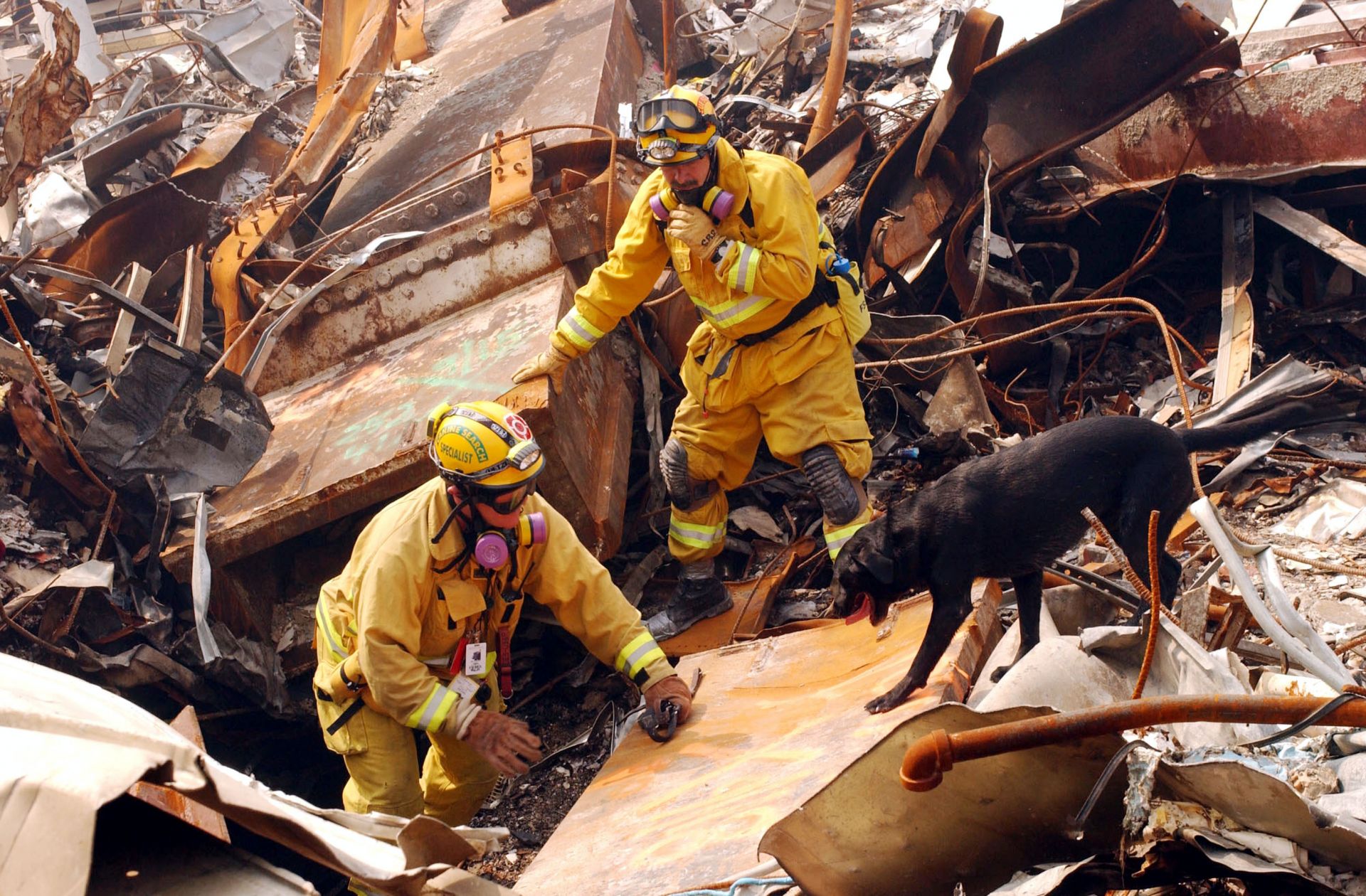 Майк Скот от Калифорнийската оперативна група-8 и неговото куче, Били, търсят жертви сред развалините