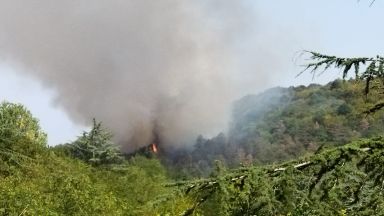 Голям пожар избухна днес следобед в борова гора над варненския