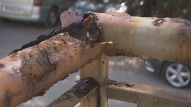 Ръжда е обхванала емблематичния столичен мост Чавдар предава Перилата