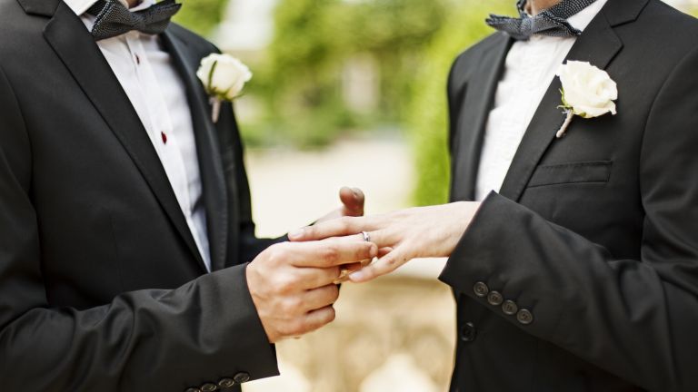 Парламентът на Словения прие поправка, която позволява на еднополовите двойки